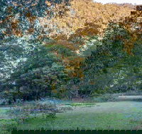 Griffins walking track - Tourism Canberra
