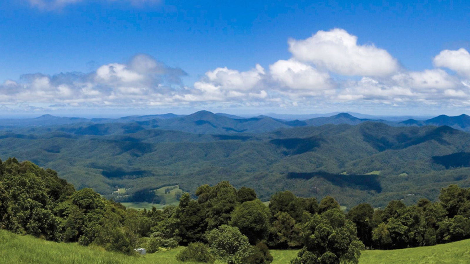 North Dorrigo NSW Tourism Canberra