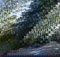 Hastings Forest Way Touring Route - Tourism Canberra