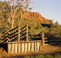 Illamurta Springs Conservation Reserve - Tourism Canberra