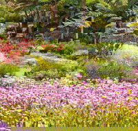 Jurassic Garden AR Experience - Tourism Canberra