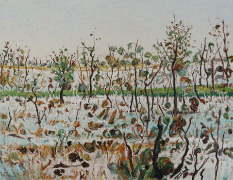 Kiama Art Gallery - Tourism Canberra 1