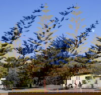Kurrawa Park - Tourism Canberra