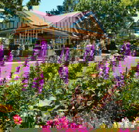 Laurel Bank Park - Tourism Canberra