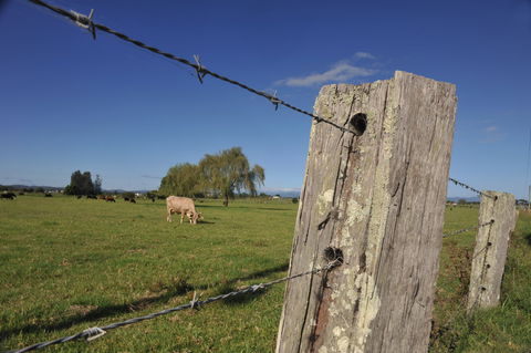 Macleay Valley Coast – Bellbrook Scenic Drive - Tourism Canberra 1