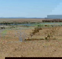 Marlgu Billabong - Tourism Canberra