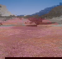 Meekatharra - Tourism Canberra