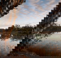 Murray-Kulkyne Regional Park - Tourism Canberra