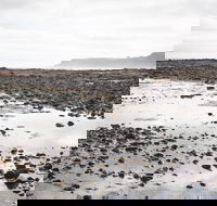 Mushroom Reef Beach - Tourism Canberra