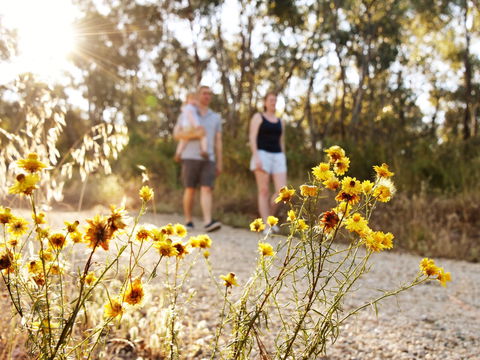 Nail Can Hill - Tourism Canberra 0