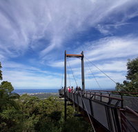 Orara East State Forest - Tourism Canberra