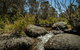 Pallaibo Walking Track - thumb 0