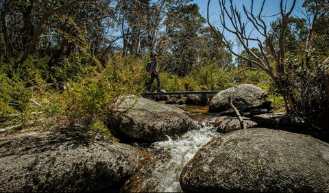 Pallaibo Walking Track - Tourism Canberra 0