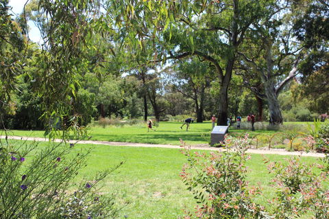 Parkville Heritage Walks - Tourism Canberra 2