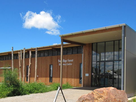 Pilliga Forest Discovery Centre - Tourism Canberra 0