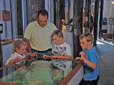 Pilliga Forest Discovery Centre - Tourism Canberra 1