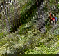 Pipers lookout - Tourism Canberra