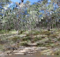 Reef Hills State Park - Tourism Canberra