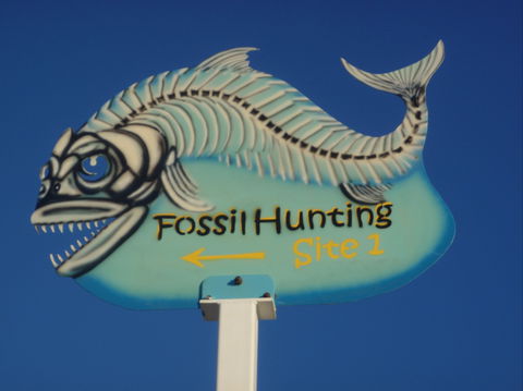 Richmond Fossil Hunting Sites - Tourism Canberra 1