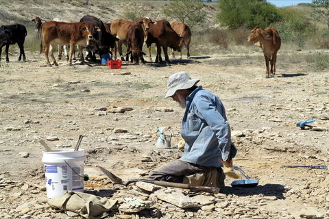 Richmond Fossil Hunting Sites - Tourism Canberra 2