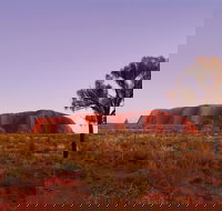 Sunrise Viewing Area Talinguru Nyakunytjaku - Tourism Canberra