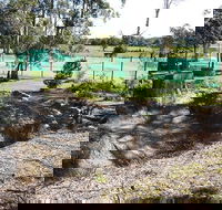 Tactical Paintball Games - Tourism Canberra