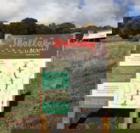 The Wallaby Track - Tourism Canberra