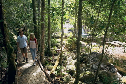 The Pioneer Valley And Eungella National Park - Tourism Canberra 1