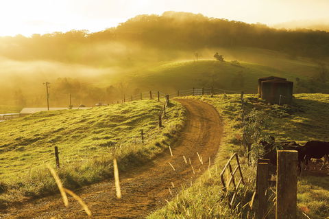 The Pioneer Valley And Eungella National Park - Tourism Canberra 2