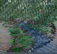 The Channon Protesters Falls Nimbin and Mount Nardi - Tourism Canberra