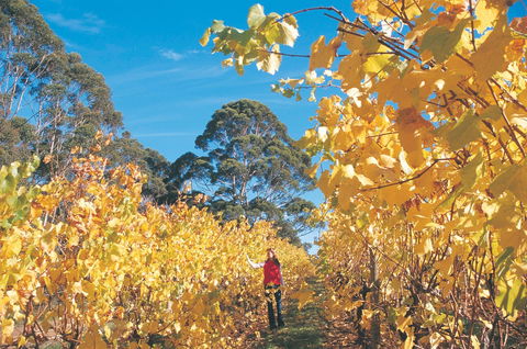 The Great Southern Drive - Tourism Canberra 1