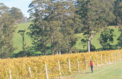 The Great Southern Drive - Tourism Canberra 2