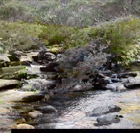 Thredbo River Track - Tourism Canberra