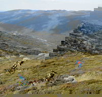 Thredbo Mountain Biking - Tourism Canberra