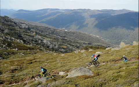 Thredbo Mountain Biking - Tourism Canberra 0