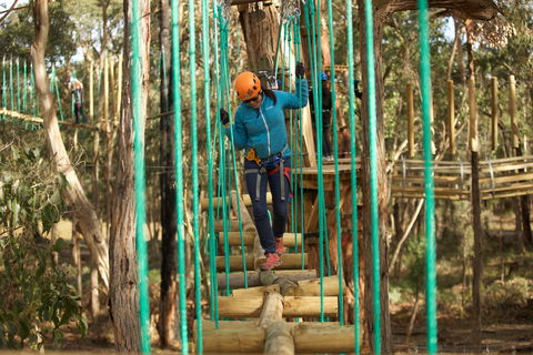 Trees Adventure Yeodene Park - Tourism Canberra 0