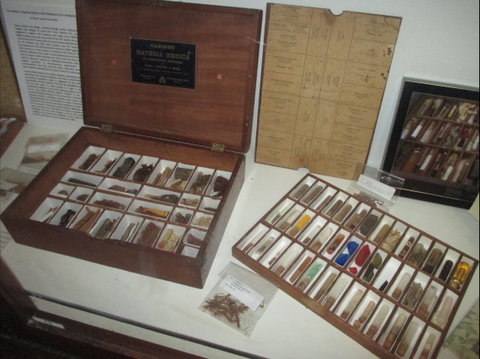 UQ Marks-Hirschfeld Museum Of Medical History - Tourism Canberra 0