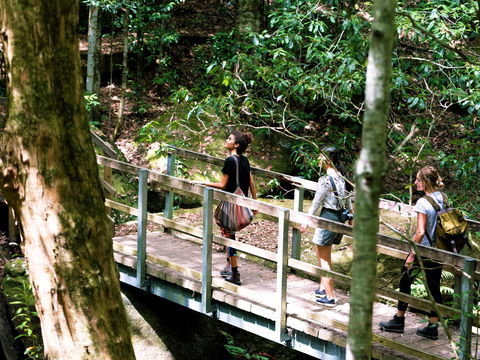 Watagans National Park - Tourism Canberra 0