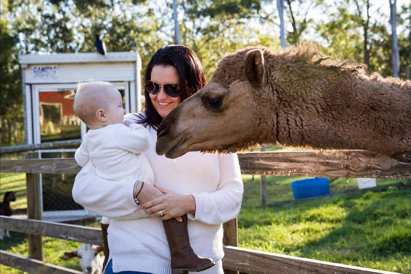 Elimbah QLD Tourism Canberra