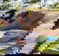 White Ridge Farm - Tourism Canberra