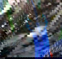 Wildlife Habitat - Tourism Canberra