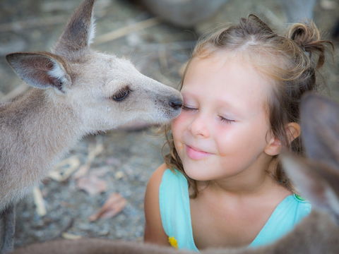 Wildlife Habitat - Tourism Canberra 1