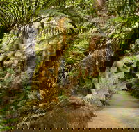 William Ricketts Sanctuary - Tourism Canberra