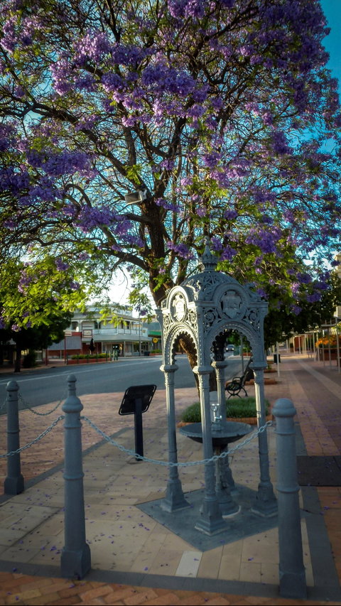 Witcombe Fountain - Tourism Canberra 0