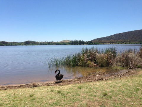Yarralumla Bay - Tourism Canberra 0