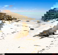 Abrolhos Islands - Tourism Canberra