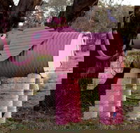 Animals on Bikes - Tourism Canberra