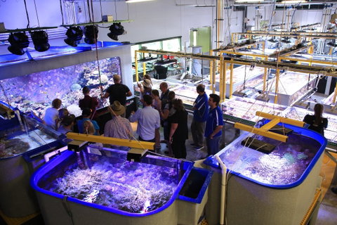 Australian Institute Of Marine Science - Tourism Canberra 0