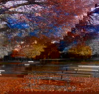 Bells Parade Reserve - Tourism Canberra