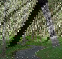 Boondall - Tourism Canberra